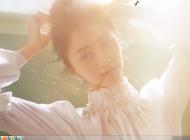 win7禁用集成显卡黑屏怎么办