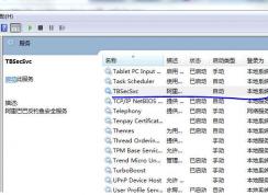Win7系统中tbsecsvc是什么进程？tbsecsvc.exe占用CPU高的删除方法