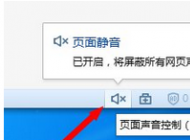 Win7系统网页看视频没声音怎么办？