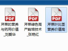 CAJ文件变成PDF文件