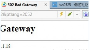 网页打不开提示502 bad gateway 的win10解决方法