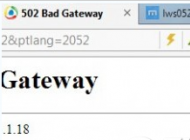 ҳ򲻿ʾ502 bad gateway win10