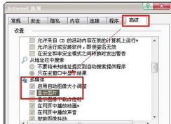 百度图片无法显示的解决方法