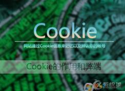 Cookies是什么意思？Win7 cookies怎么设置开启和关闭？