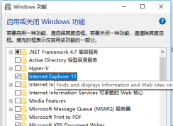 win10系统启用和关闭windows功能中找不到ie11组件怎么办？