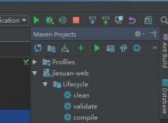 Intellij IDEA出错Cannot Resolve Symbol XXX 正确解决姿势