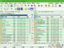 Total Commander(全能文件管理器) 10.0.30中文绿色增强版