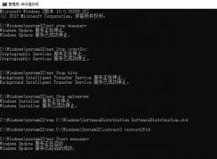 win10功能更新出错0x80d05001该怎么办？