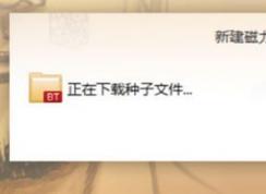 迅雷极速版下不了磁力链接该怎么办?