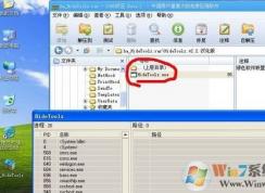 hidetoolz怎么用?hidetoolz怎么隐藏程序?
