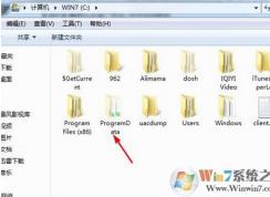 植物大战僵尸存档在哪?植物大战僵尸存档保存位置