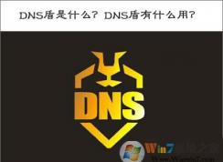 DNS盾是什么？DNS盾有什么作用？DNS盾怎么用？