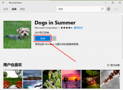 win10系统应用商店下载的主题无法启动的解决方法
