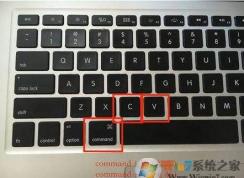 MAC复制粘贴快捷键|苹果电脑实现CTRL+C|CTRL+V复制粘贴