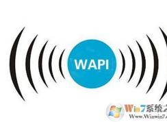 wapi是什么意思？苹果wapi是什么？