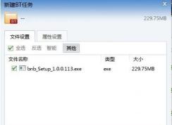 bt是什么意思？bt种子是什么文件？