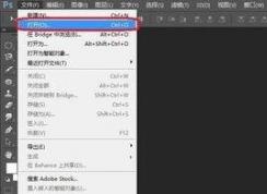 教你使用Photoshop将图片清晰度提高的操作方法