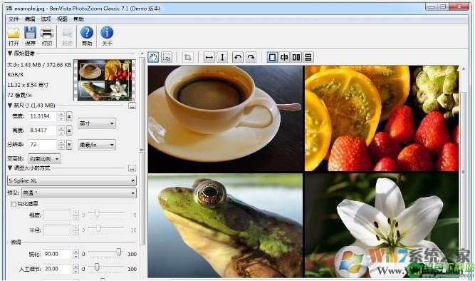 PhotoZoom Classic v7.1.0(图片放大不失真软件)中文注册版