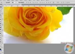 如何去水印？小编教你用PhotoShop去除图片水印