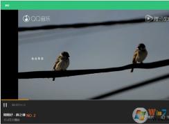 qq音乐mv怎么下载？小编教你QQ音乐里下载MV到电脑