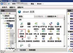 Server2008 IIS 7.5怎么设置MIME类型让特殊扩展名文件可下载