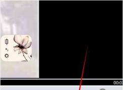 csf文件是什么?csf文件如何打开播放