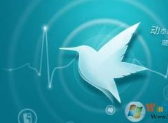 手机怎么看片？小编教你手机上怎么看片