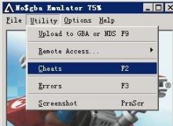 nds模拟器金手指怎么用？nds金手指详细使用教程