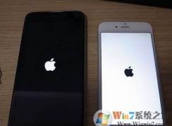 为什么有的iphone开机是黑苹果？白苹果和黑苹果有什么区别