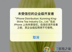 ios11描述文件怎么验证？