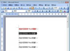 Word格式刷快捷键+格式刷怎么用方法