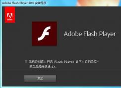 Adobe Flash Player PPAPI与NPAPI ActiveX都有什么区别？