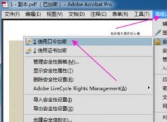 pdf如何加密？小编教你加密pdf文件的方法