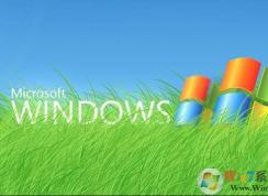 XP系统怎么查看序列号？