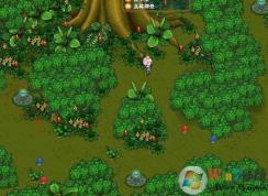 森林地图怎么打开？教你迷失森林地图怎么打开！