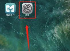 运营商设置更新怎么弄？小编教你苹果手机更新运行商的方法