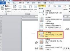 Word插入分节符方法