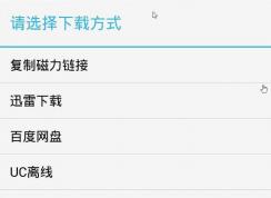 手机磁力链接怎么用？磁力链如何在手机中使用？