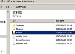 泰拉瑞亚存档怎么用？泰拉瑞亚电脑版游戏存档使用方法