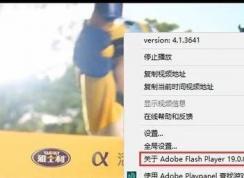 win10flash 版本在哪看？教你检查flash版本号的查看方法