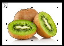 cdr用钢笔工具怎么抠图？cdr的钢笔工具抠图的操作方法