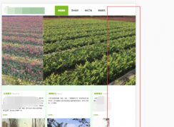 网页手机端右侧显示全怎么办？一行代码就搞定了！