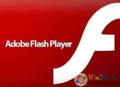 Flash有三个版本有什么不同？需要安装哪个？