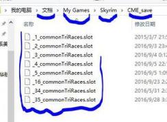 上古卷轴ece存档怎么用？ece捏脸存档用法