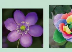 Photoshop横排文字蒙版工具怎么用？ps横排文字蒙版工具用法