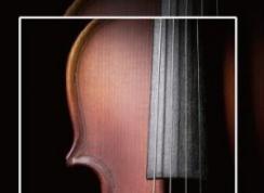 手机如何截长图？安卓系列手机截长图方法！