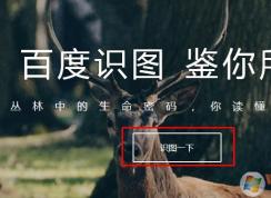 使用百度识图辨别照片真伪或找相似图片