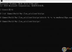 僵尸世界大战游戏启动程序找不到,被隐藏的解决方法