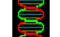 Gene Runner软件下载|Gene Runner v5.1.06（生物基因分析工具）