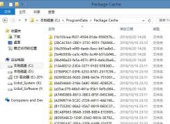 Package Cache是什么文件夹,可以删除吗？